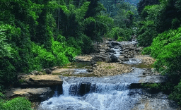 Chooralmala 17