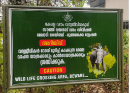 Chooralmala 18